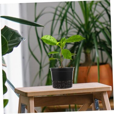 Сітчасті горщики для гідропоніки 13 x 13 x 12 см водна культура посадковий кошик сітчастий горщик пластикові гідропонні горщики садові рослини сітчасті горщики для рослин для вирощування чашка для рослин відро кошик чорний, 10 шт.