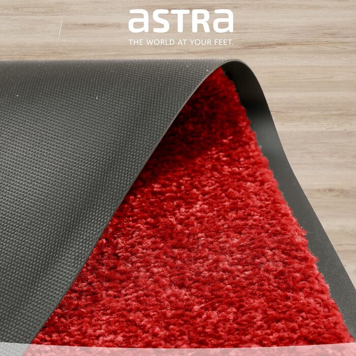 Міцний килимок Astra Perle для уловлювання бруду нековзний килимок для дверей килимки для підлоги в приміщенні вхідні килимки килимки (червоний, 40x60 см) 40 x 60 см (прямокутний) Червоний