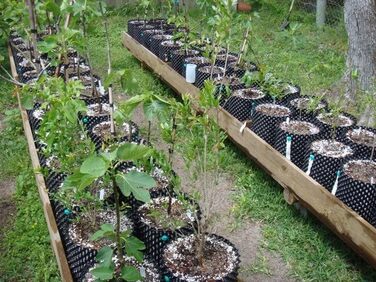 Горщик для квітів Original Superoots Air-Pot 27см (15л)