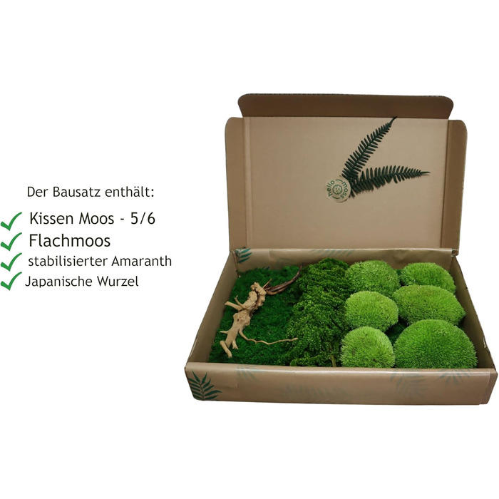 Мох Hello Moss для крафта - набір, що складається з 6 кулькових мохів ісландського моху, 1 пластинчастого моху, стабілізованого амаранту та японського кореня - збережений живий мох - набір DIY із зображенням моху (середньозелений)