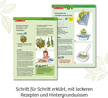 Набір для експериментів Herb Garden KOSMOS, вирощування трав