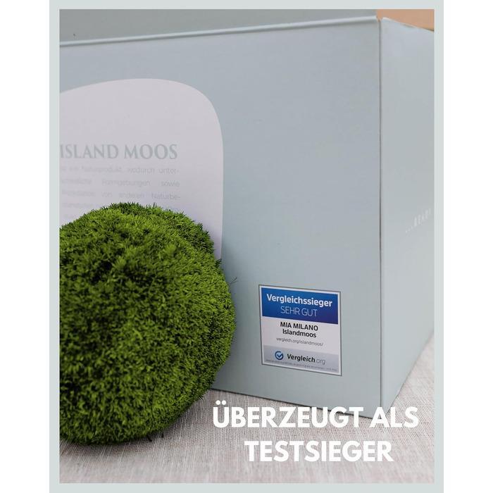 Шаровий мох збережений натуральний зелений 125 г Справжній Болленмосс для фотографій моху Міцний мох для рукоділля Водостійкий натуральний зелений ісландський мох