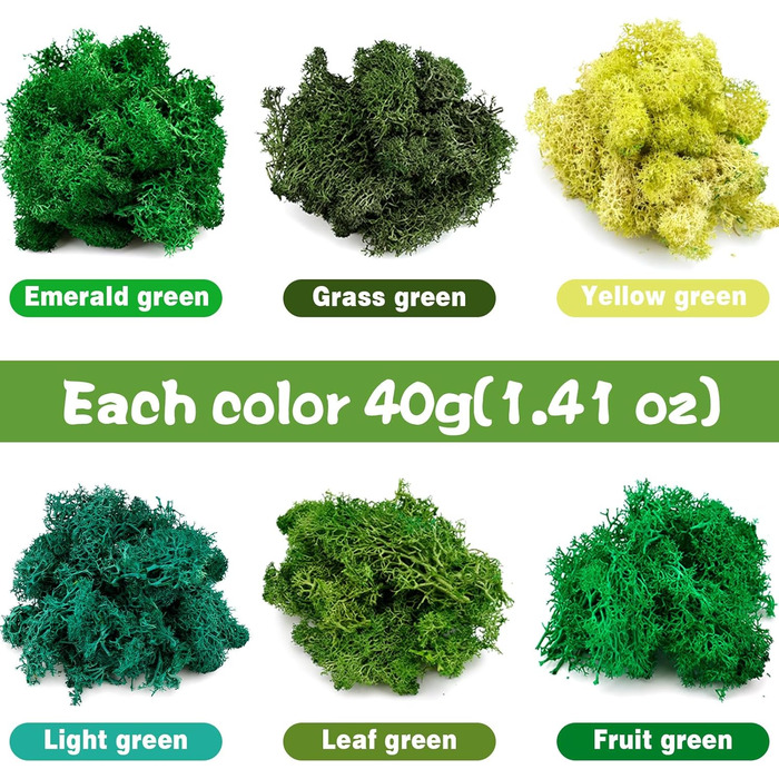 Ісландський мох, консервований мох, декоративний мох для рукоділля, картина з моху, виготовлення моделей, художній мох, натуральний консервований мох у 6 кольорах (240 г), натуральне багаторазове листя моху для декору, виготовлення моделей, прикраса для д