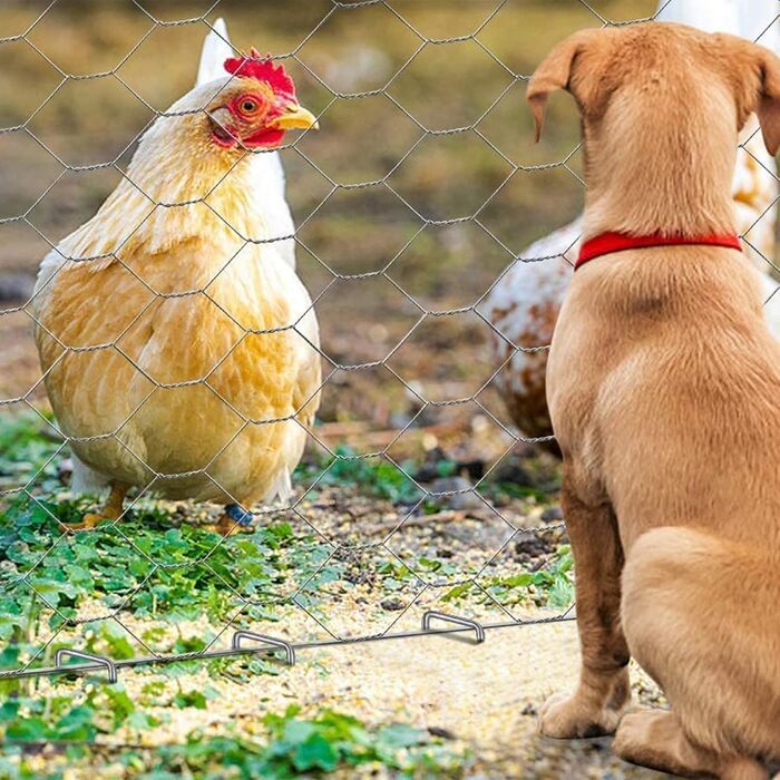 Скоби для ландшафтного дизайну Zevlux Garden Staples 4 дюйми 50 шт. Оцинковані міцні штирі для дерну, антикорозійні кілки для огорожі з тканини для захисту від бур&39янів, ґрунтопокривних рослин, зрошувальних труб, 12 калібр, 50 шт. 50 10,2 см