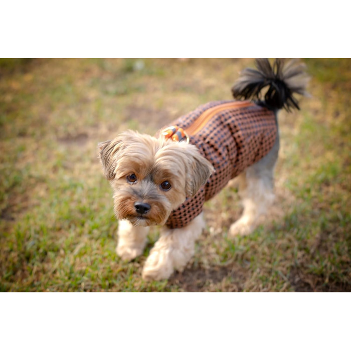 Водонепроникне пальто/дощовик/зимове пальто Selente Paw Parade для собак малих та середніх розмірів з флісовою підкладкою (вироблено в ЄС), малинове, розмір 3