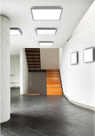 Стеля LED-світильник Trio, нержавіюча сталь, білий акрил, 30x30см, 622713007