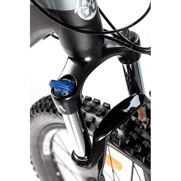 Електричний велосипед EMTB-29 SHIMANO 24 швидкості та гідравлічні дискові гальма Вбудований акумулятор іонно-літієвий 48V 13Ah L-XL