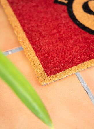 Килимок для дверей Grupo Erik Coconut з гербом Хогвартса та брухту 40x60 см - Забавний килимок для дверей - Килимок для дверей в приміщенні, фанатський предмет Гаррі Поттера, ягода