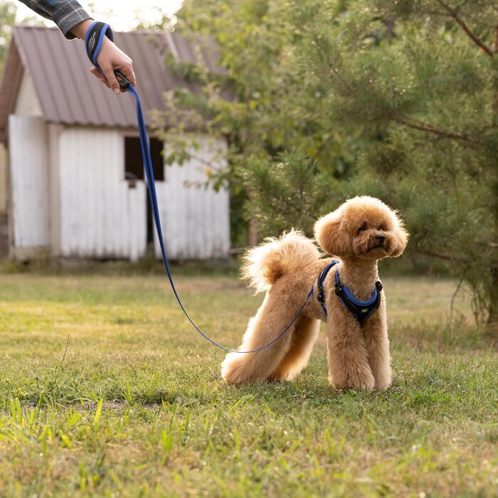 Шлейка для собак ERGOCOMFORT EXTRA SMALL, регульована, зручна, м'яко підбита, з подвійним мікрорегулюванням та швидкою застібкою, срібляста. Обхват шиї 28-38 см / Обхват грудей 37-47 см