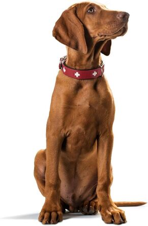 Нашийник для собак Hunter (Швейцарський дизайн), з органічної шкіри