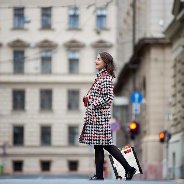 Складний візок для покупок Relaxdays з телескопічною ручкою, колесами, вантажопідйомність до 35 кг, об'єм 50 літрів, чорно-сірий