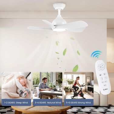 Стельовий вентилятор CJOY 76 см з підсвічуванням і пультом дистанційного керування Безшумний, лампа з вентилятором, що регулюється