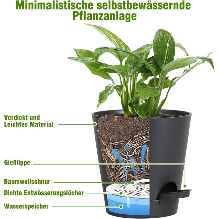 Набір із 6 самополивних квіткових горщиків, 20,3/17,8/16,5/15,2/14/12,7 см, горщики для рослин із системою поливу, кашпо з блюдцем, набір квіткових горщиків, ідеально підходить для кімнатних та балконних садів, чисто чорний колір