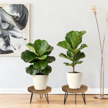 Дерев&39яна підставка для рослин, 25,4 * 17,8 см, кругла підставка для квітів з 3 ніжками, полиця для рослин, стійка для квітів, квітковий табурет, мінімалістична бамбукова підставка для рослин для вітальні, балкону, саду, декору для приміщень/зовнішнього