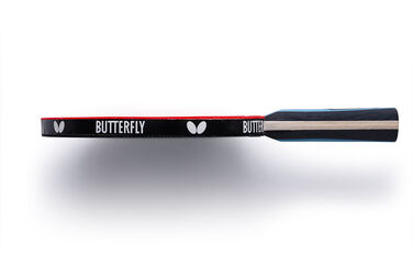 Ракетка для настільного тенісу Team Butterfly Advance FL (6256900002)