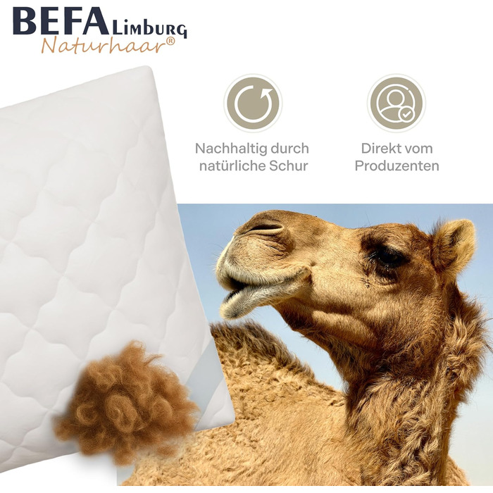 Подушка BEFA NATUR з верблюжої шерсті 40x80 см, наповнювач 100 верблюжа шерсть, бавовняний чохол, Oeko-TEX клас 1, виготовлена в Німеччині, гіпоалергенна