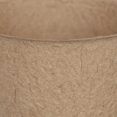 Біорозкладних горщиків для розсади, целюлозні горщики для насіння, ВxГ 7,5 x 8 см, круглі контейнери для розсади, маленькі, натуральні, 600