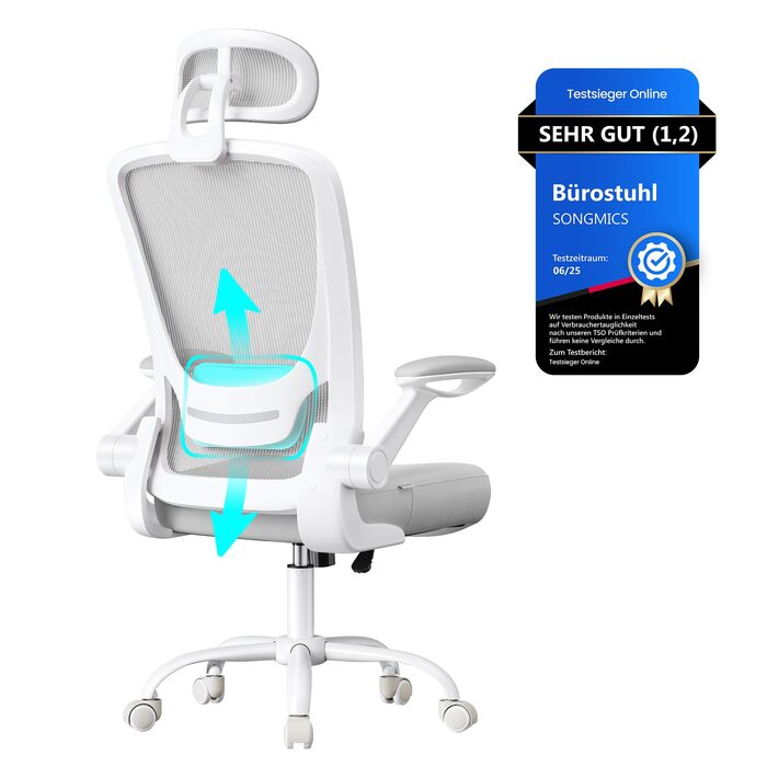 Ергономічне офісне крісло SONGMICS, обертове крісло з сіткою, поперековим відділом хребта та підголівником, функція гойдання, розмір сидіння 53 см, складні підлокітники, для роботи та спальні, для студентів, колір голубий сірий OBN047G01