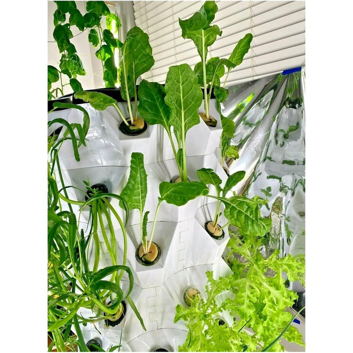 Гідропонний сад, система гідропоніки для вирощування аеропоніки. Плантатор для вирощування ананаса. Башта для внутрішнього саду. Пластикова теплиця. Безґрунтова посадка, спостерігайте за ростом рослин (10-шаровий план 80).