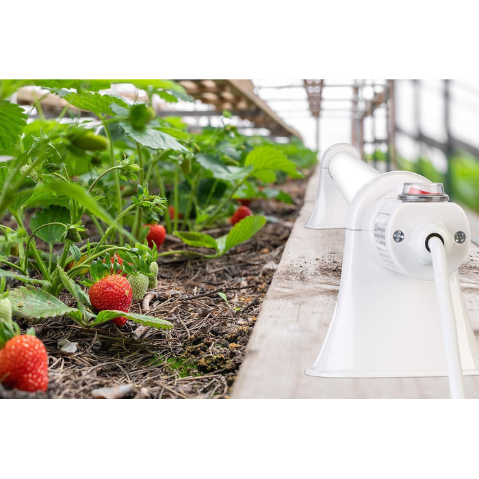 Обігрівач для теплиць Royal Gardineer Електричний занурювальний обігрівач для теплиць, 55 Вт, 51 см, IP44 (нагрівальні стрижні, підігрів ґрунту, зимовий захист)