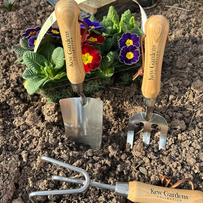 Набір садового інструменту Spear & Jackson 3057KEW Кью Гарденс 3 предмети совок для розсади, вила для видалення бурянів та культиватор з ручками з твердої деревини з сертифікацією FSC та нержавіючою сталлю.