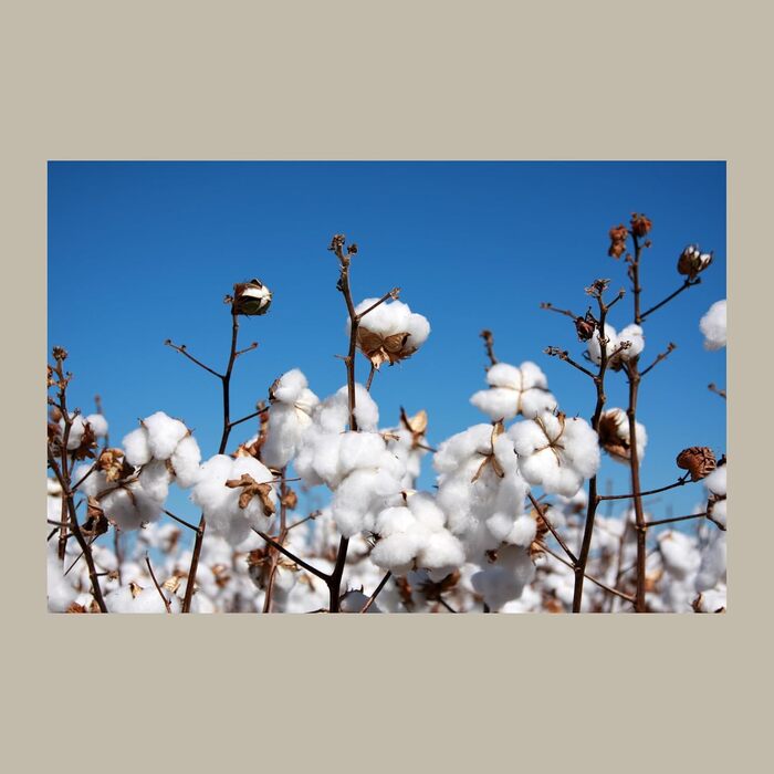 Ультралегкий (лише 225 г) підкладковий спальний мішок Backpacker&39s Journey виготовлений зі 100 бавовни. Гігієнічний спальний мішок без блискавки (без термоізоляції). Сірий. Ширина 85 см.