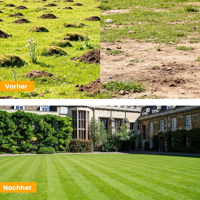 Гребінь для вирівнювання газону 75x25 см, садовий рівняч з подовженою ручкою 190 см для двору та саду