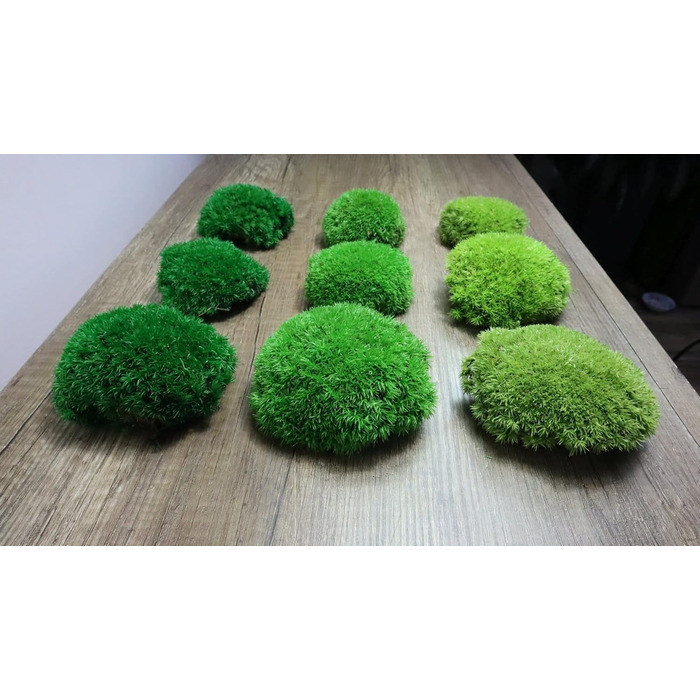 Збережений мох на вагу - Прикраса з моху для вас - Кулястий мох, збережений для вашого дому - Створіть картину з моху - підходить як моховий тераріум і ліси у склі (100 г світло-зеленого)