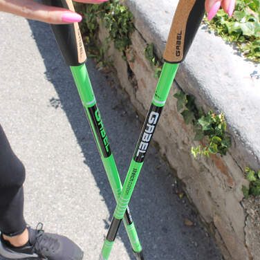 Палиці для скандинавської ходьби Gabel Stretch Lite Carbon (7008352600000)