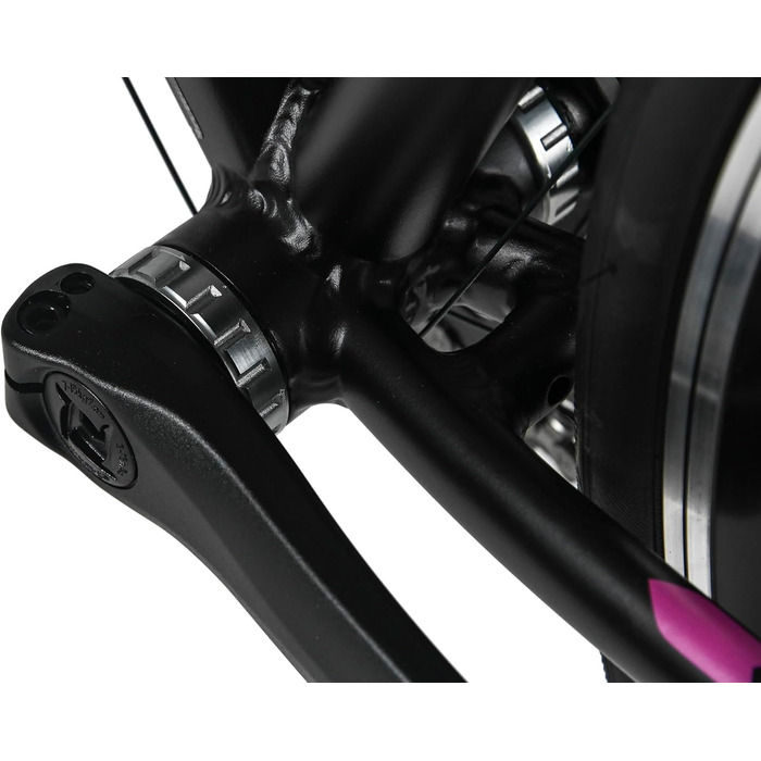 Велосипед WYLD Racing 28&39&39 Whirlwind 100 Black 16 передач Чорно-фіолетовий 60 см