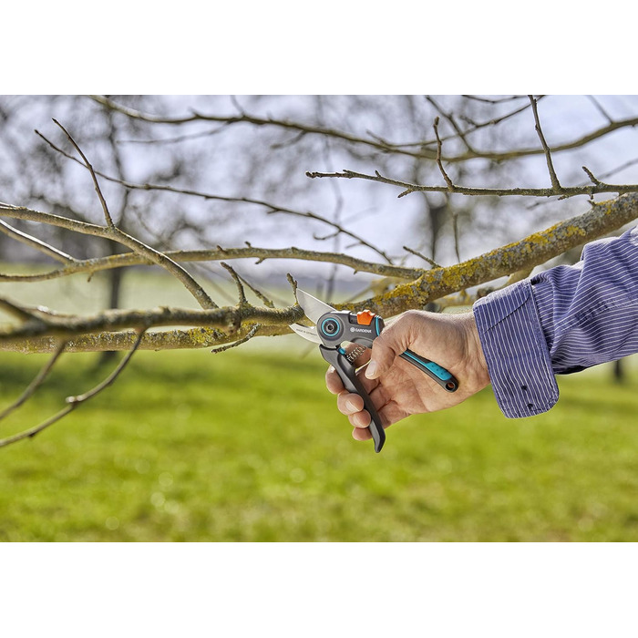 Садові ножиці Gardena ExpertCut Прецизійні ножиці для дерев, обхідний обріз гілок/гілок/фруктових дерев, максимальний діаметр різання 22 мм, 2-рівневе відкриття ручки (12203-20) Одинарні