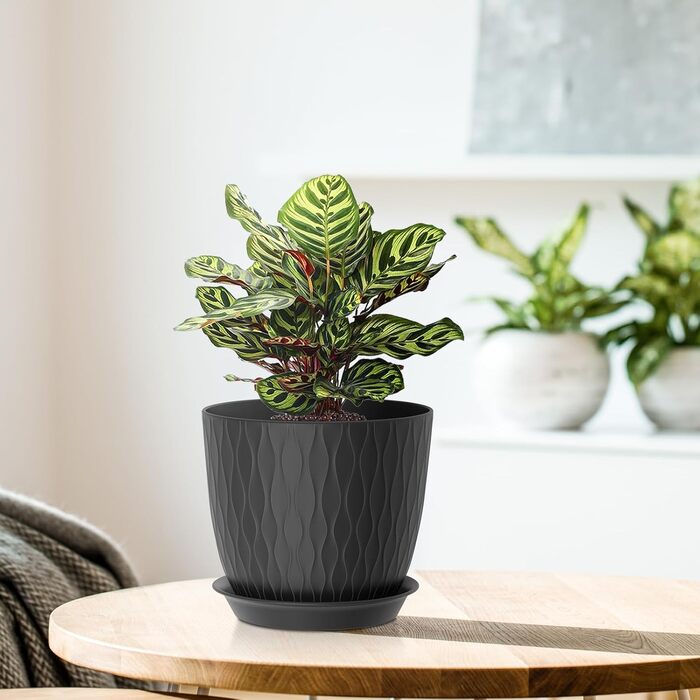 Набір з 5 квіткових горщиків із системою поливу, горщики для рослин 17,8 см із системою поливу, кашпо з блюдцем, набір квіткових горщиків, ідеально підходить для кімнатних та балконних садів, чорний 7 дюймів