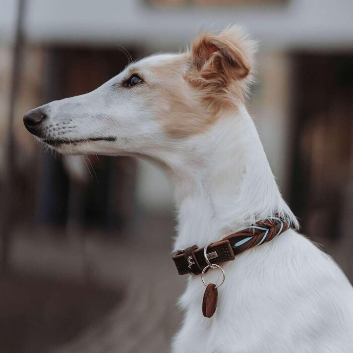 Нашийник для собак HUNTER SOLID Education, колір темно-коричневий/бірюзовий, міцна яловича шкіра, ручне плетіння, виготовлено в Німеччині, розмір 50 темно-коричневий/бірюзовий 50