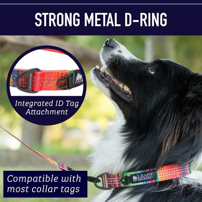 Нашийник для собак Leashboss з яскравим візерунком та світловідбиваючими нитками, колекція Boho, середній розмір (34-50 см, ширина 2.5 см)