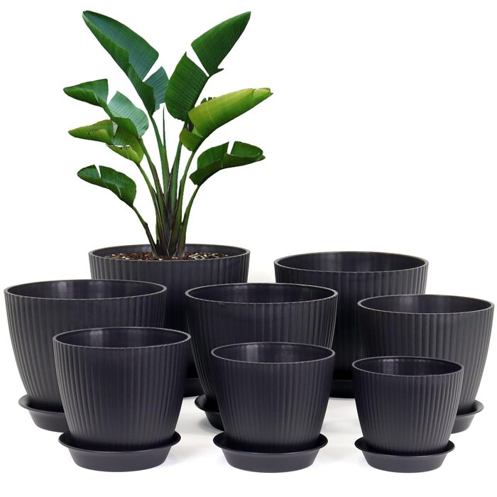 Набір з 8 квіткових горщиків з блюдцями, 19/17,5/16,5/16/14/13/11,5/10 см, пластикові кашпо, гідропонні горщики, набір квіткових горщиків, ідеально підходить для кімнатних та балконних садів, чорний 19/17,5/16,5/16/14/13/11,5/10 см, чорний