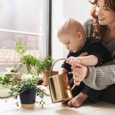 Упаковок квітковий горщик самополивний, 20.3/17.8/16.5/15.2/14/12.7см горщик для рослин з системою зрошення, сівалка з блюдцем, на