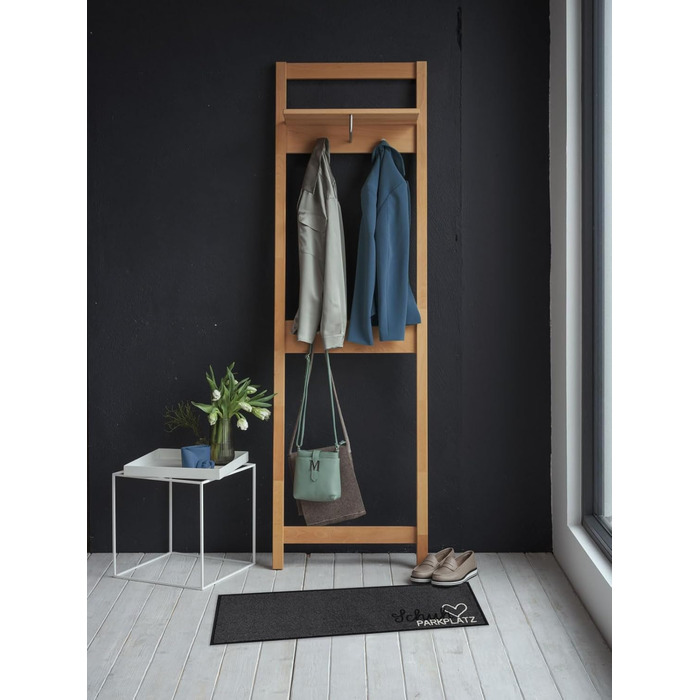 Килимок для дверей Salonloewe 030x100 см, килимок для паркування взуття, чистого срібла, для приміщень, для вулиці, килимок для вловлювання бруду, для очищення килимів та інше