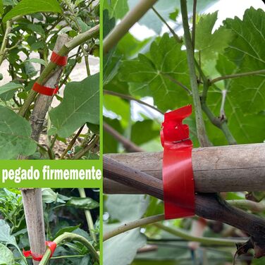 Машина для обв&39язування винограду з червоно-синьою стрічкою, машина для обв&39язування помідорів, для обв&39язування помідорів, винограду, квітів, овочів (B) 1