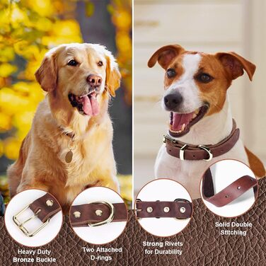 Комплект повідця та нашийника Зоряний Провідник, 1.8 м, м'яка плетенка зі шкіри, з регульованим нашийником для собак малих, середніх та великих порід (розмір М)