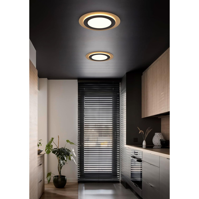 Стельовий LED-світильник Trio Leuchten Morgan 641519280, матовий чорний/золотий, метал та акрил, 46 Вт, з пультом керування, діаметр 45 см