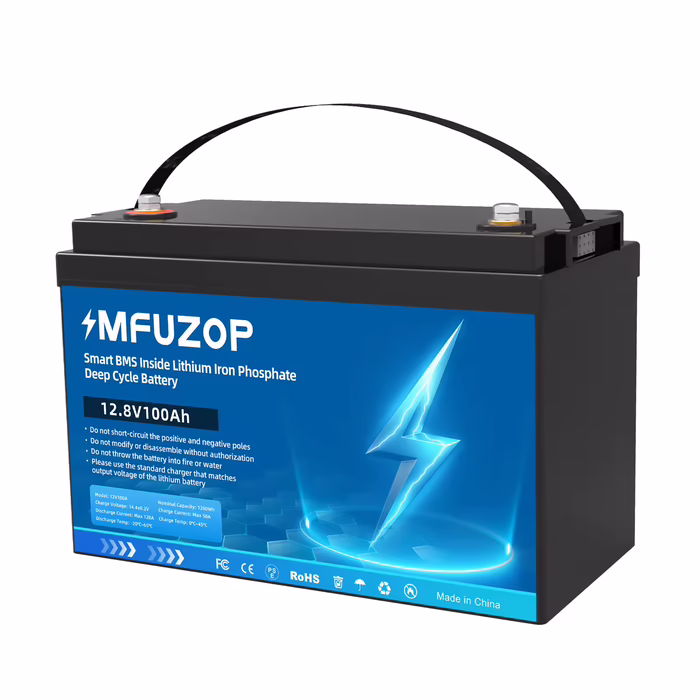 DATOUBOSS LiFePO4 12V Battery with BMS 8000Cycles, 100A 200A 300A, for Inverter, Motorhome, Solar System, Boat, Household, Solar