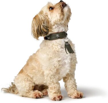 Нашийник для собак HUNTER Мюнхен, колір зелений/коньяк, шкіра, вишукані деталі в традиційному стилі, м'який та міцний, дбайливий до шерсті, розкішний, екологічно чистий, стійкий, виготовлено в Німеччині, розмір 32 зелений/коньяк 32