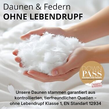 Пухова подушка, виготовлена в Німеччині, 80x80 3-камерна подушка 80x80, пух та пір&39я Гіпоалергенна подушка Сертифіковано для тварин (DOWNPASS) Oeko-TEX Клас 1 Комплект пір&39яних подушок з 1 предмета 80x80 см