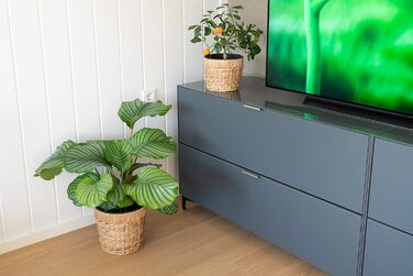 Декоративний набір з 3 круглих плетених квіткових горщиків з морської трави з пластиковими вставками для посадки - горщики для рослин - 16 см 20 см 26 см