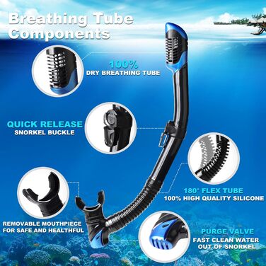 Набір для сноркелінгу, спорядження для сноркелінгу для дорослих, професійна маска для сноркелінгу з антизапотіванням, суха маска для фрідайвінгу, сноркелінгу, плавання, синій комплект для сноркелінгу - Panorama 3