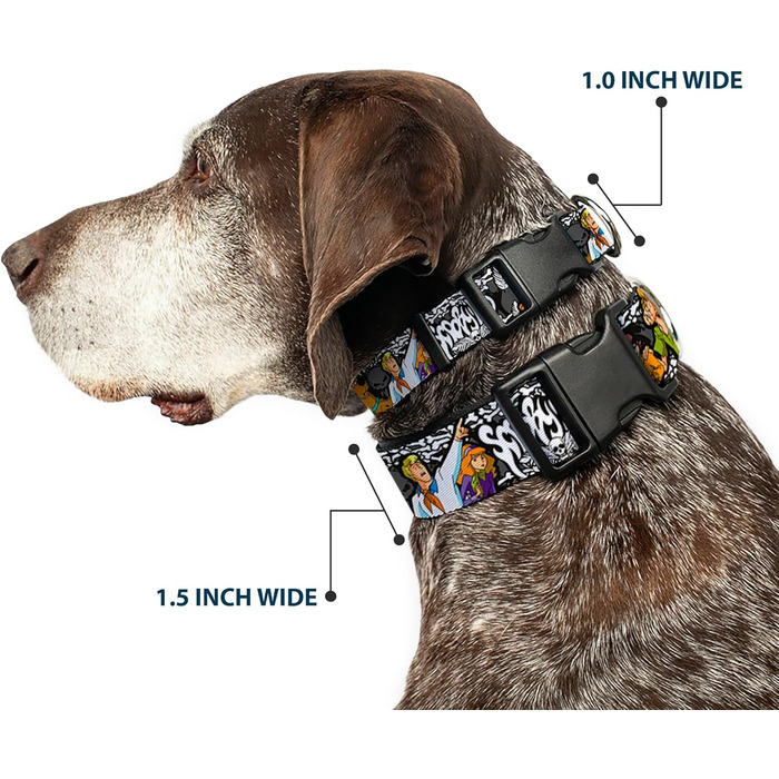Нашийник для собак Buckle-Down Scooby Doo, пластикова застібка, багатоколірний, ширина 2,5 см, підходить для обхвату шиї 38-66 см, розмір L (DC-BKSR-WSD014-1.0-L). Ширина 2,5 см - підходить для обхвату шиї 38-66 см - великий розмір, багатоколірний.