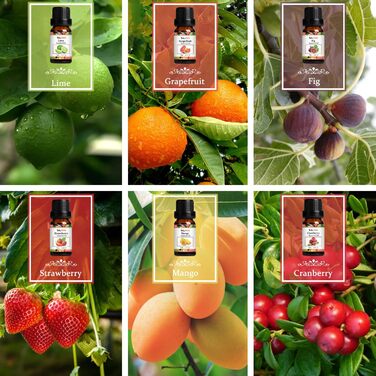 Набір ефірних олій SALKING, 12x10 мл 100 органічна ароматична олія для дифузора, журавлина, персик, полуниця, кавун, інжир, кокос, грейпфрут, лайм, ананас, манго, солодкий апельсин, маракуйя