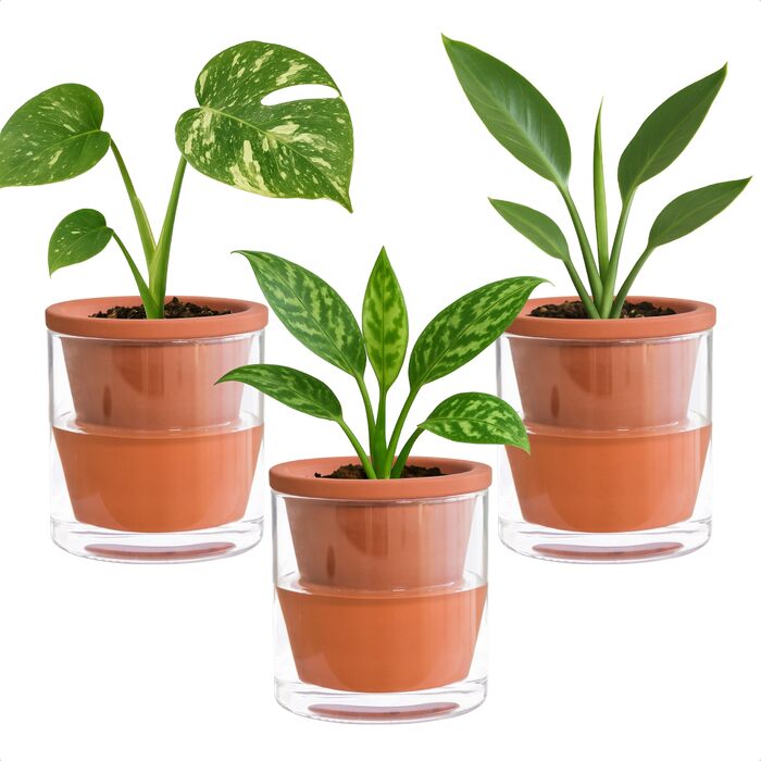 Горщик для кімнатних рослин D&39vine Dev із самополивом, теракотовий кашпо з циліндричною скляною чашкою, 3 шт., 37-ZA-1-T