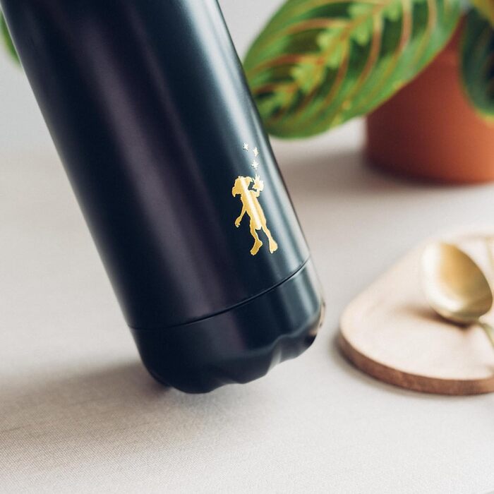 Термос Grupo Erik Dobby з нержавіючої сталі 500 мл - Спортивна пляшка для води 500 мл - Дитяча пляшка для води - Товар для фанатів Гаррі Поттера, кобальтовий