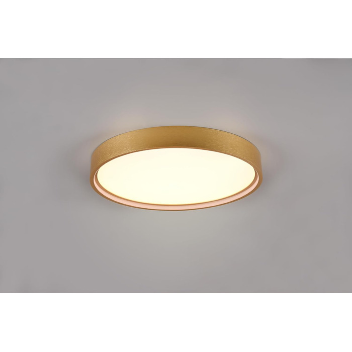 Стельовий LED-світильник Trio Leuchten Doha 641310208, матова латунь, акрил, LED 29 Вт